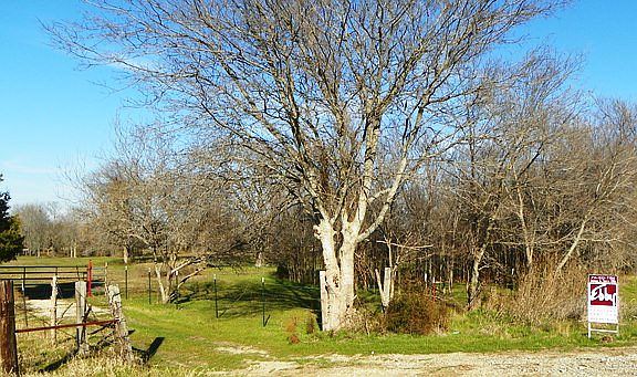 2nd image of 12261 Fm Road 1391