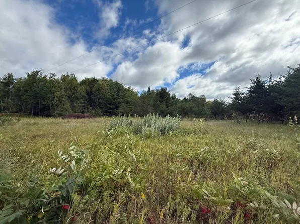 159th Ave, Bagley, MN 56621