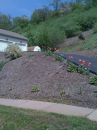 driveway2