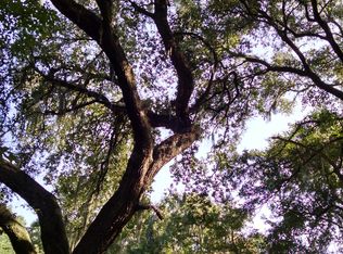 304 Salt Creek Rd, Savannah, GA 31405