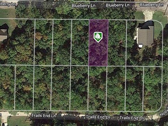 2nd image of 608 Blueberry Ln