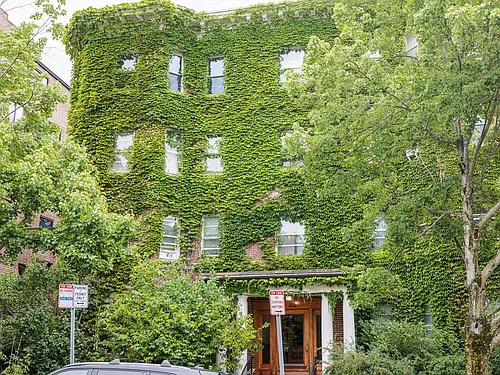 315 Harvard St #8 Photo 1