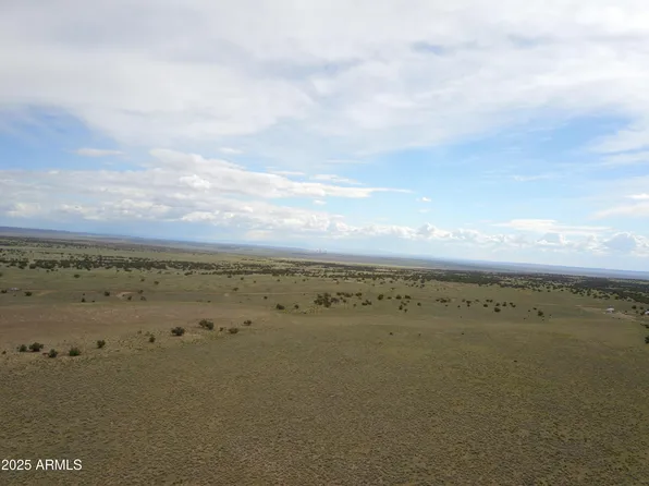 TBD 42 in Acres Carrizo Ranches -- E #36, St Johns, AZ 85936