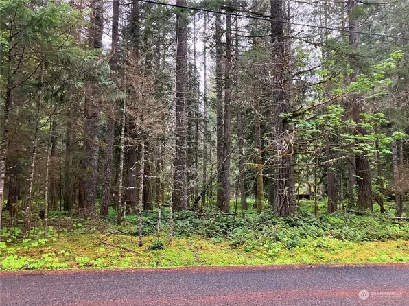 56514 382nd Avenue Ct E, Ashford, WA 98304