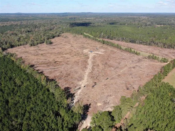 251 Domino Rd, Bienville, LA 71008