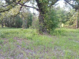 SW State Road 247, Lake City, FL 32024