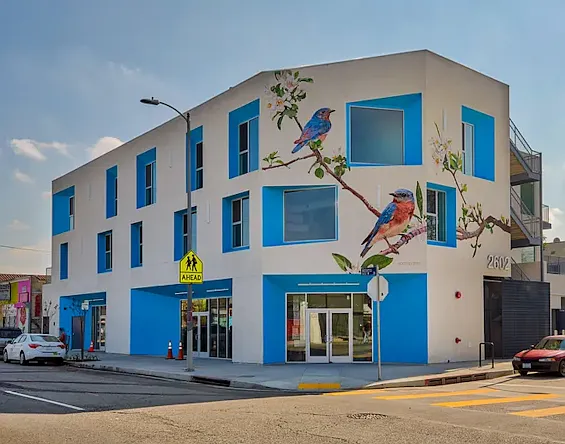 Catalina West Adams — Photo 2