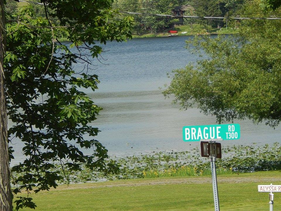 Lake view
