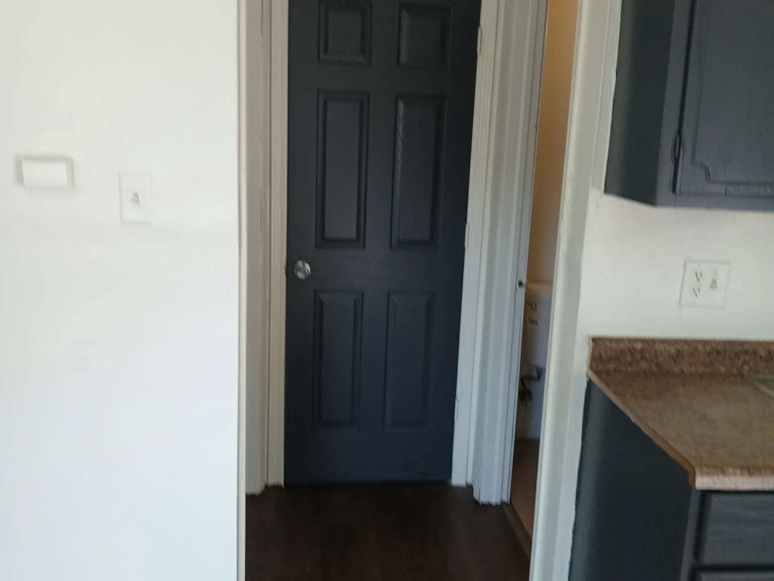 1 bed, 700 sqft, $1,350 — Photo 3