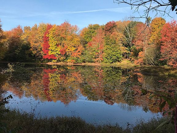 Fall view from the yard
