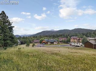 472 Gray Horse Cir, Woodland Park, CO 80863