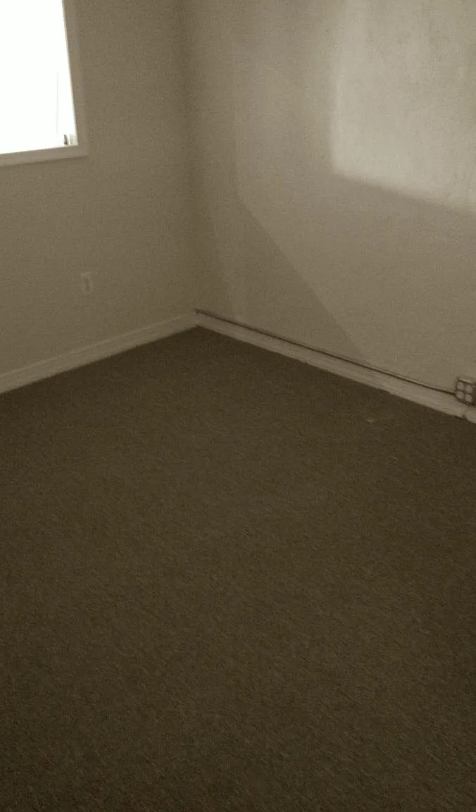 1 bed, 1000 sqft, $1,600 — Photo 3