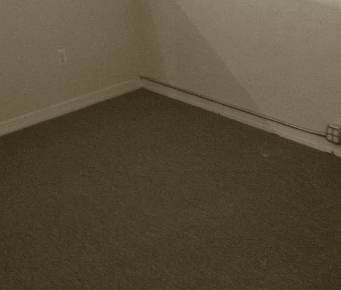 1155 S 9th St #2 — Photo 3