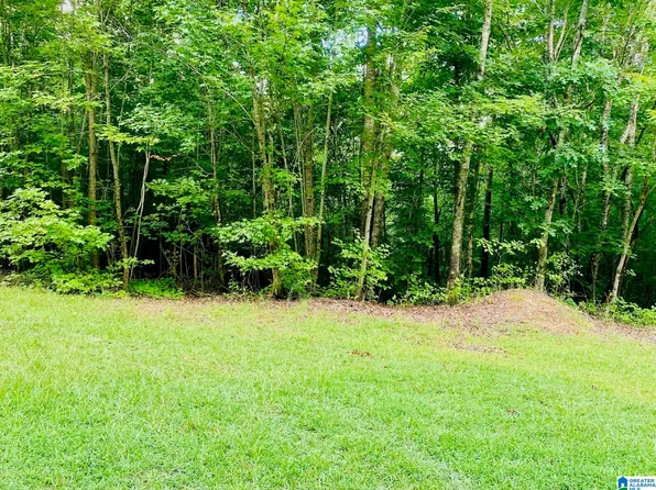 0 County Road 27 #1, Heflin, AL 36264