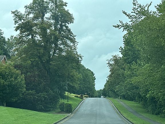 4th image of 313 Post Oak Dr