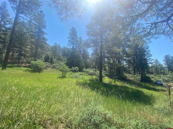 462 Circle Drive, Pagosa Springs, CO 81147