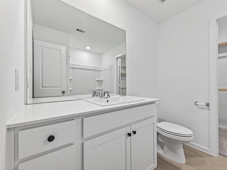 26815 Rosy Shimmer Ln — Photo 17