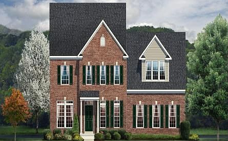 ElevationImage