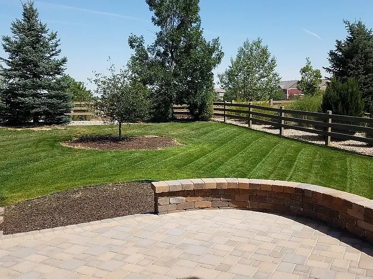 6487 Turnstone Ave — Photo 23