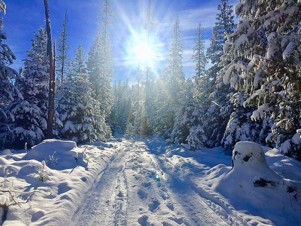 1734 Tanglewood Dr, Priest River, ID 83856 Zillow