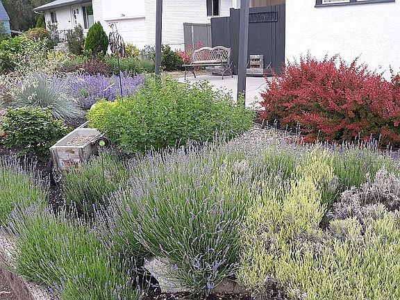 Updated Garden