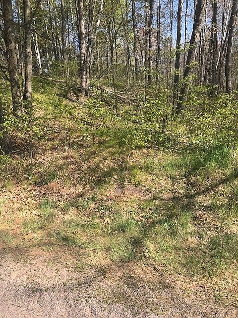 1st image of 0 Cty Rd M