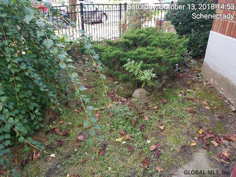 2nd image of 113 PARK Place