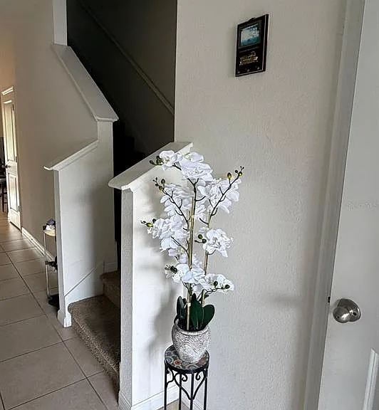 3244 Pleasant Willow Ct — Photo 3