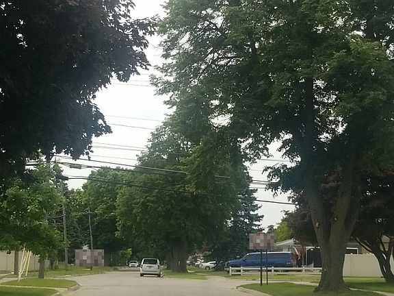 5th image of 27758 Liberty Dr