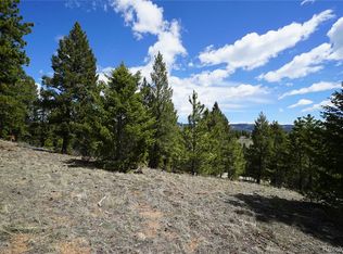 750 Lions Head Ranch Rd, Pine, CO 80470