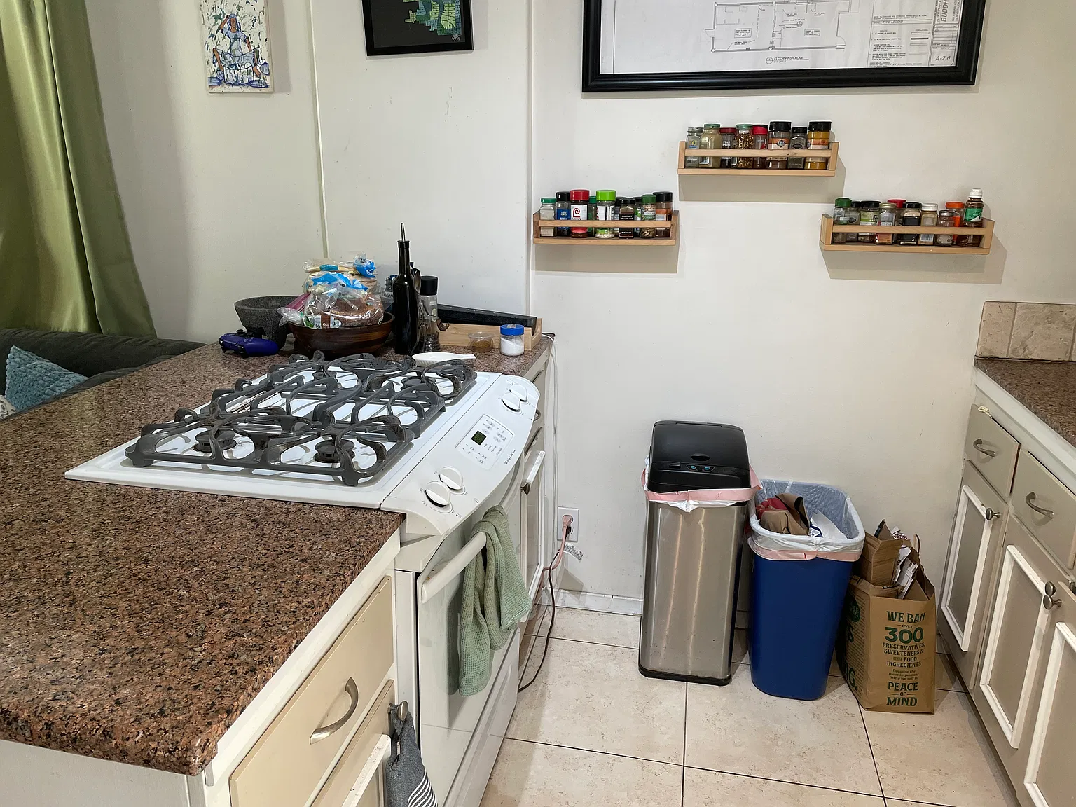 1 bed, 570 sqft, $2,950 — Photo 2