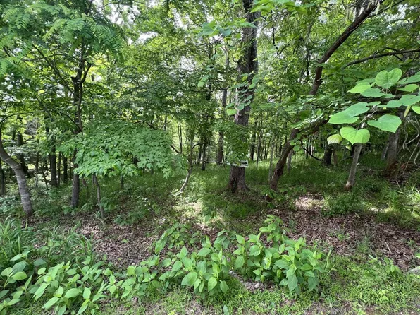 LOT 21 Twin Lake Dr, Bedford, VA 24523