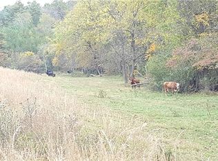 TRACT 4 Merrill Farm Rd, Leicester, NC 28748