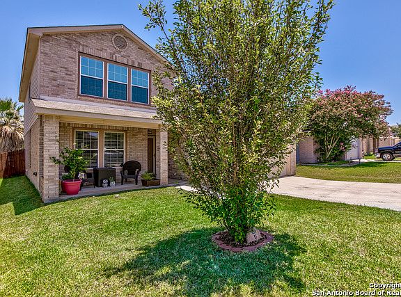 2nd image of 264 Texas Mulberry