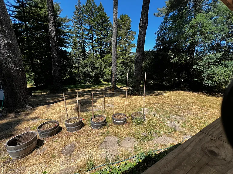 ADU's yard