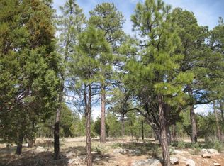 2941 Apache Dr, Happy Jack, AZ 86024