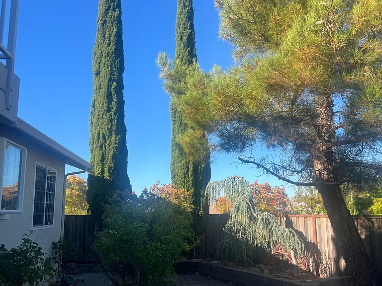 21 Gait Ct — Photo 12