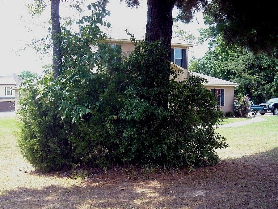 1388 Missile Base Rd, Stonewall, LA 71078 Zillow