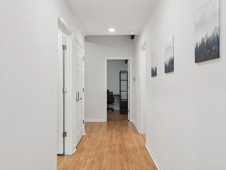 Pointer Ln — Photo 6