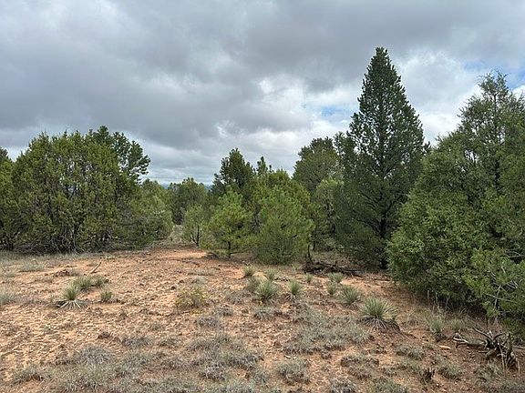 2nd image of 6 Acres