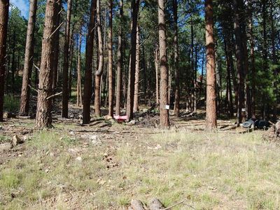 263 E Forest Lakes Drive, Bayfield, CO, 81122