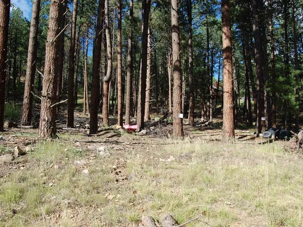 263 E Forest Lakes Drive, Bayfield, CO 81122