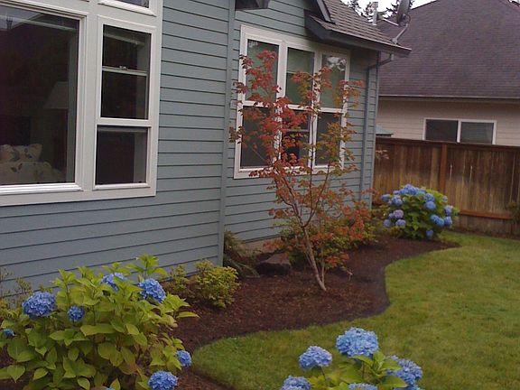 Professional landscape