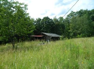 50 Finkenbinder Rd, Spencer, NY 14883