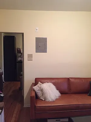 Rented by Wyckoff Heights Realty Inc. | media 11