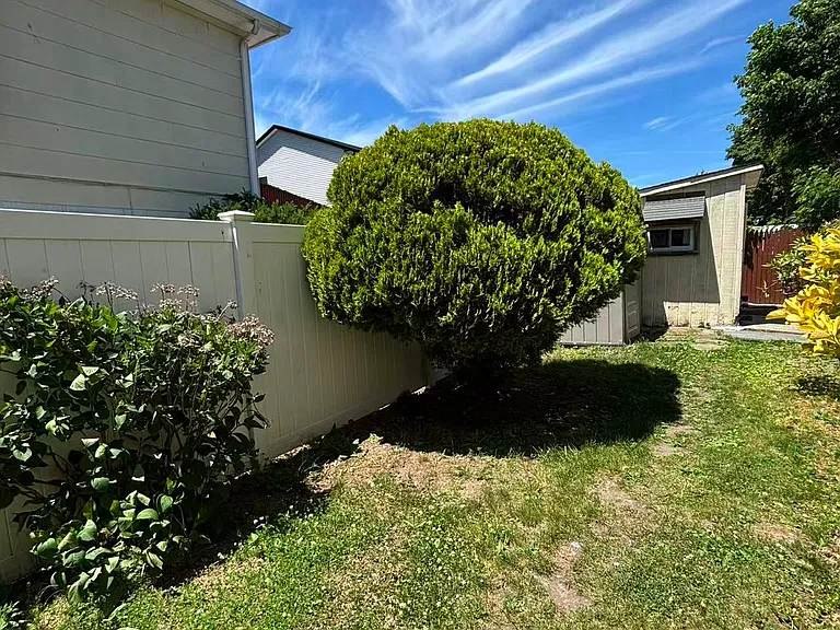 2823 Oswego St N — Photo 18