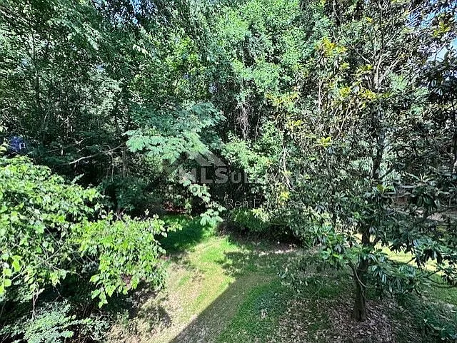 302 Rushingwater Dr — Photo 22