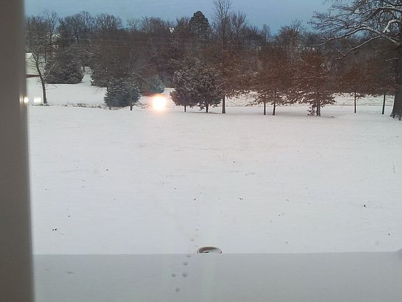View off back porch w/snow.