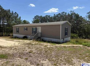 2640 Old Wire Rd W, Wallace, SC 29596