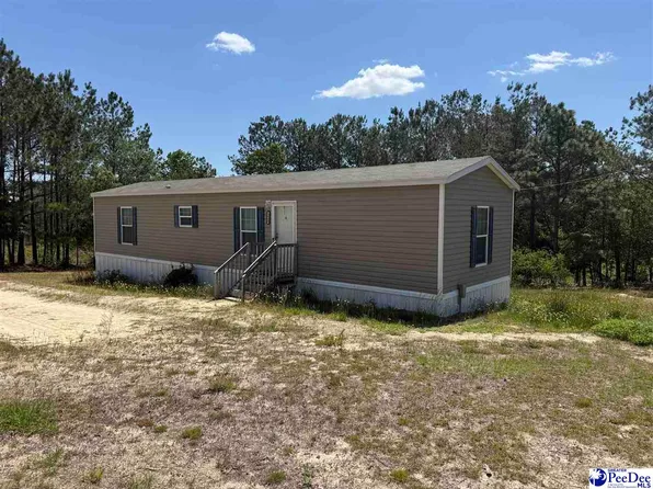 2640 Old Wire Rd W, Wallace, SC 29596